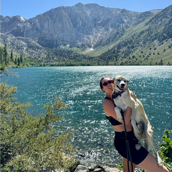 Meet your Posher, Bailey - Picture 3 of 8